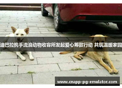 迪巴拉携手流浪动物收容所发起爱心筹款行动 共筑温暖家园