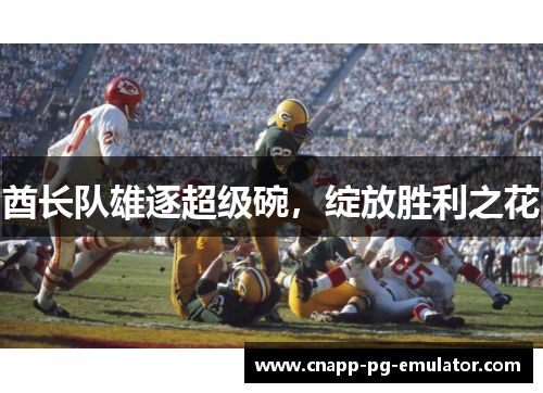 酋长队雄逐超级碗,绽放胜利之花 酋长队雄逐超级碗,绽放胜利之花
