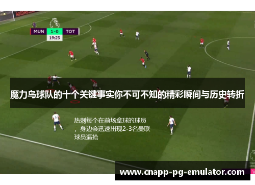 魔力鸟球队的十个关键事实你不可不知的精彩瞬间与历史转折 魔力鸟球队的十个关键事实你不可不知的精彩瞬间与历史转折