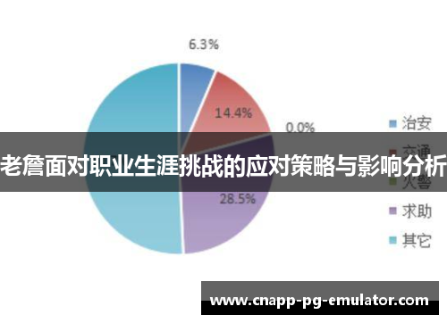 老詹面对职业生涯挑战的应对策略与影响分析