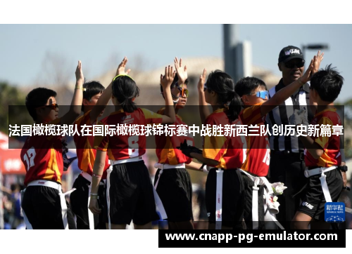 法国橄榄球队在国际橄榄球锦标赛中战胜新西兰队创历史新篇章